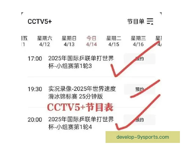 世界杯精彩对决实时直播全程解析与赛况追踪