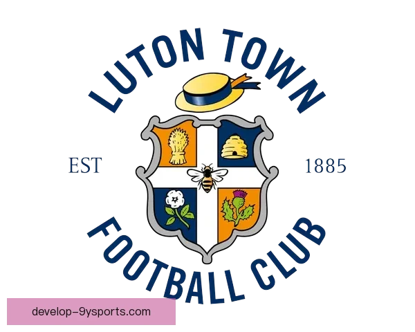卢顿俱乐部发展历程与未来战略探索分析