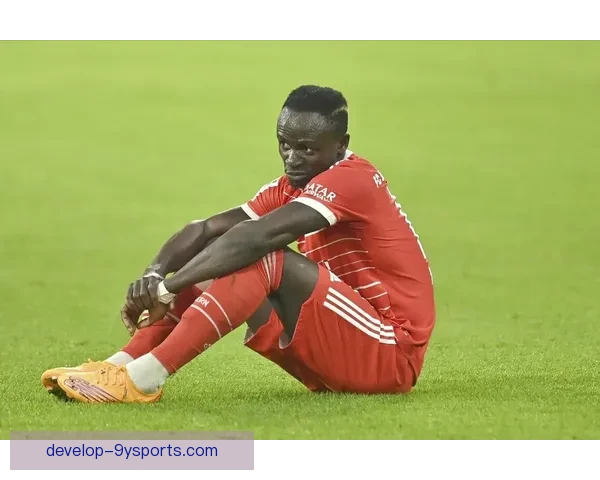 塞内加尔世界杯征程回顾与非洲足球崛起背后的荣耀与挑战