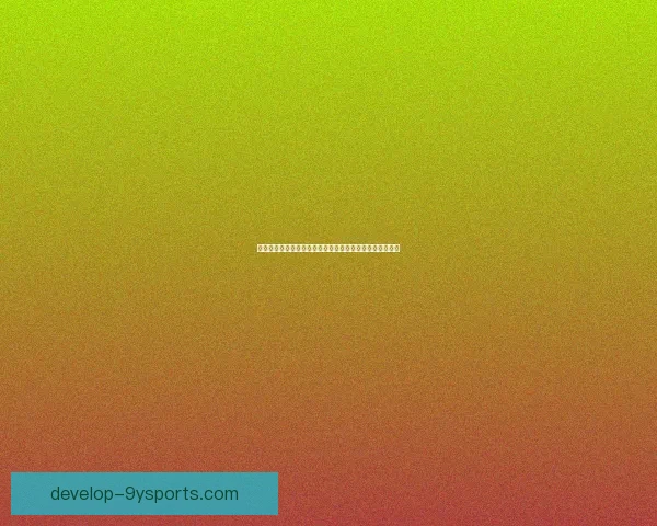 普鲁士门兴格拉德巴赫足球俱乐部历史成就与未来展望解析