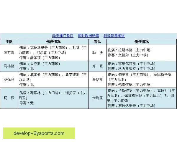 霍芬海姆1899足球俱乐部最新动态：队员伤情更新与赛季目标调整分析