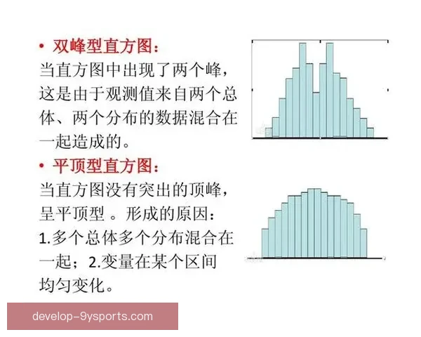 布雷斯特俱乐部发展历程与未来战略探索分析
